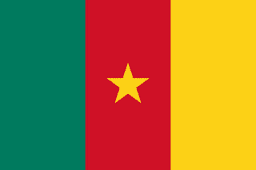 Cameroon flag